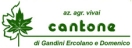 Vivai Cantone