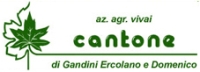 Vivai Cantone